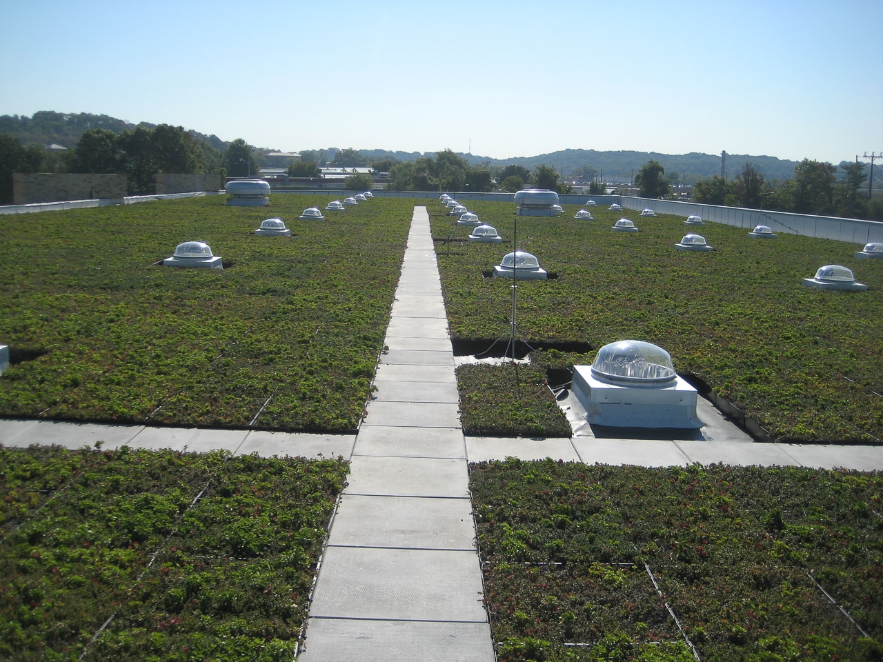 Green Roof  24