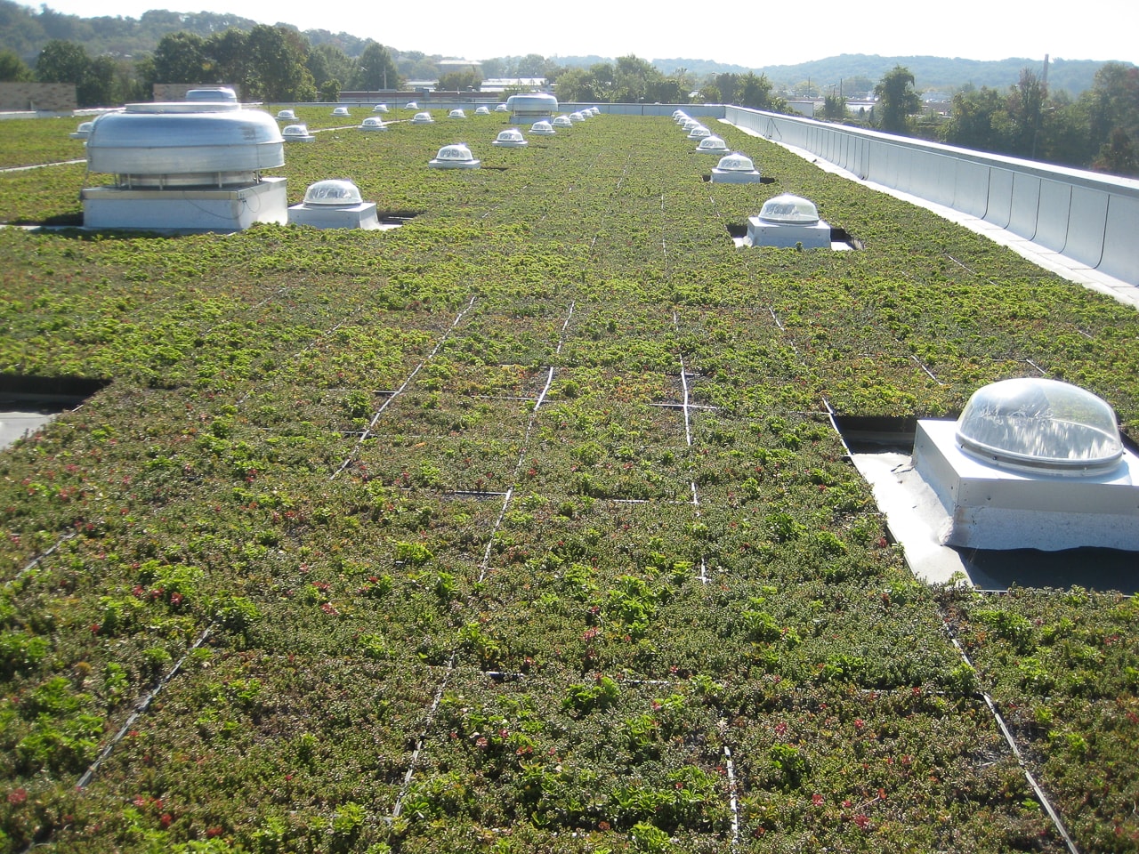 Green Roof  25