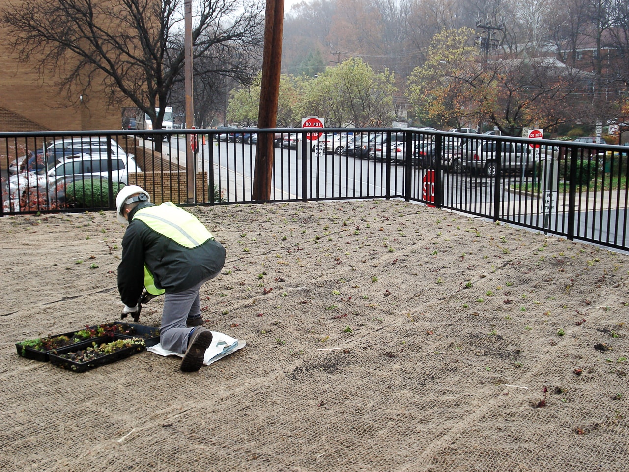 TAKOMA PARK COMMUNITY CENTER image 2