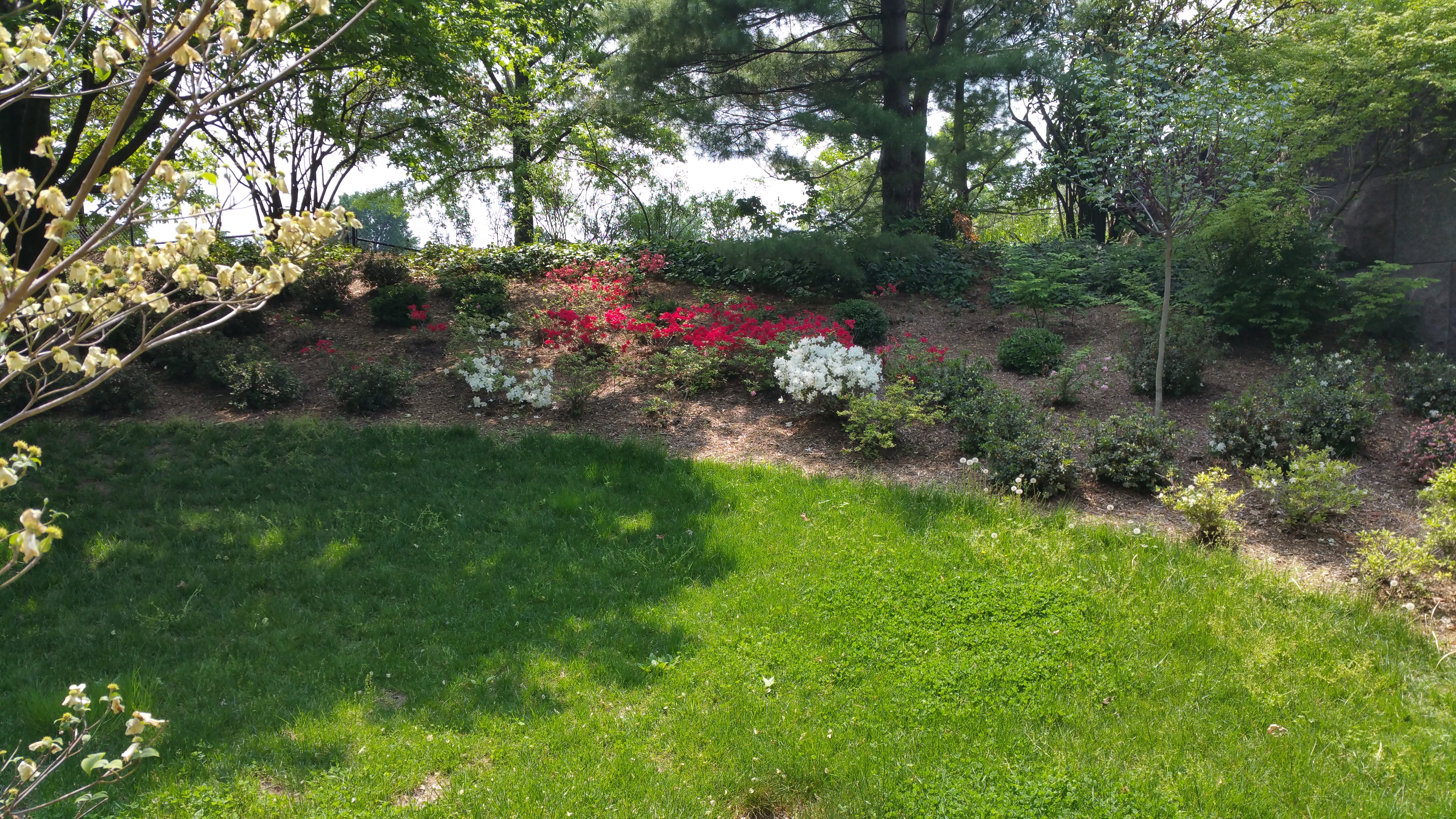 FRANKLIN DELANO ROOSEVELT MEMORIAL LANDSCAPING image 4