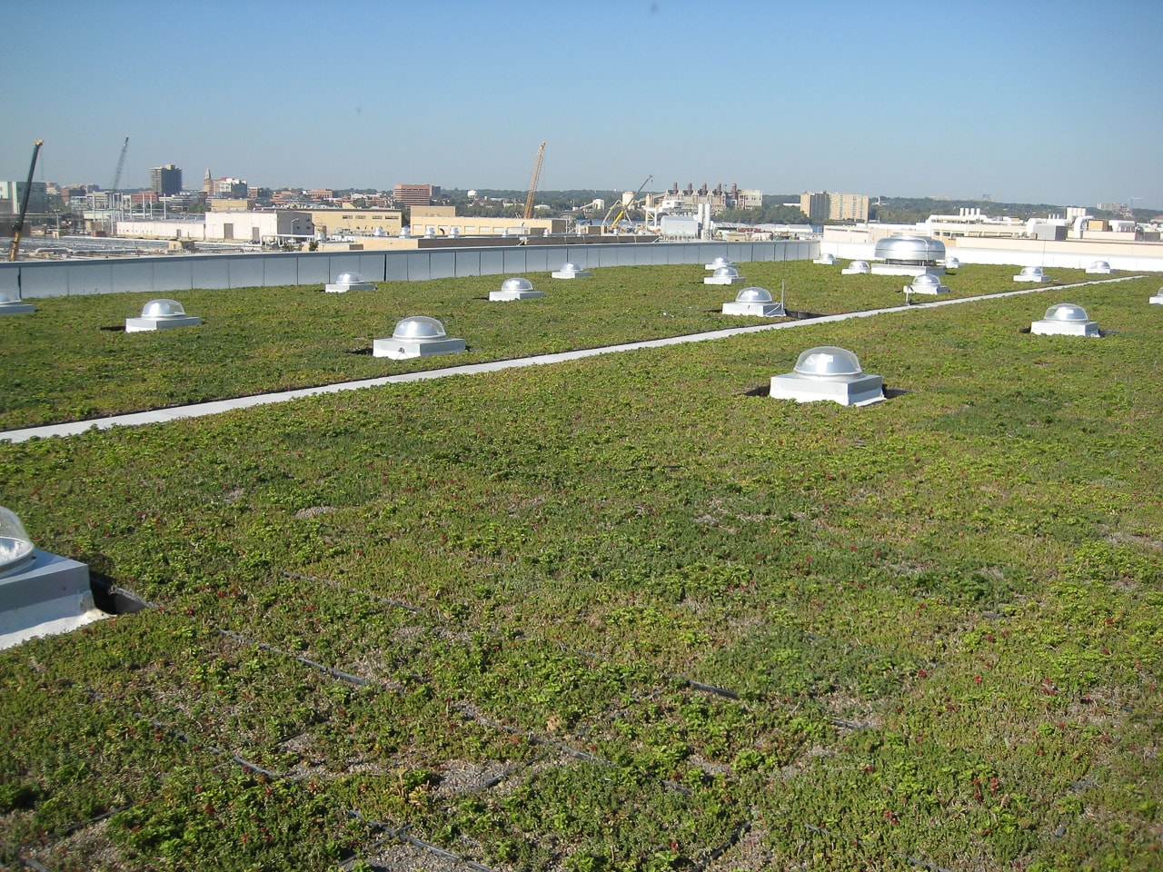 Green Roof  26